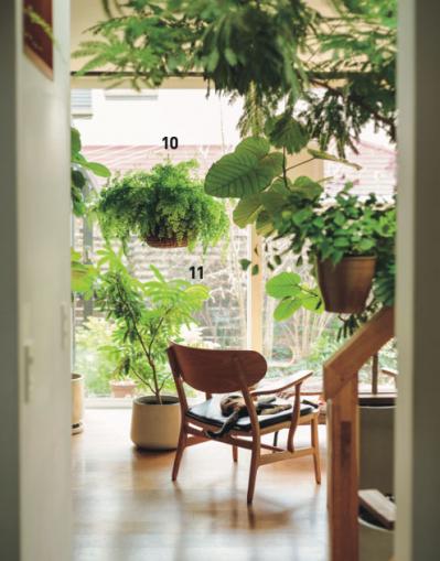 植物と暮らす幸福感ってこんな感じ！　人気インスタグラマーの「光と土を大切にした」インテリア（サムネイル画像6）