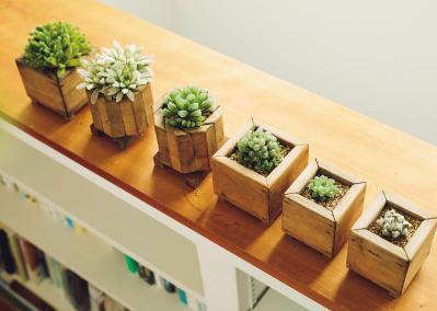 植物と暮らす幸福感ってこんな感じ！　人気インスタグラマーの「光と土を大切にした」インテリア（サムネイル画像17）