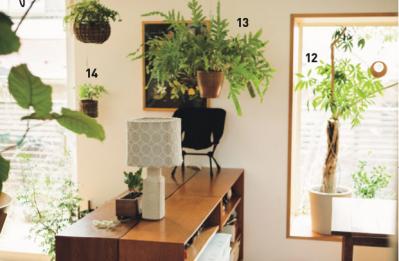 植物と暮らす幸福感ってこんな感じ！　人気インスタグラマーの「光と土を大切にした」インテリア（サムネイル画像7）