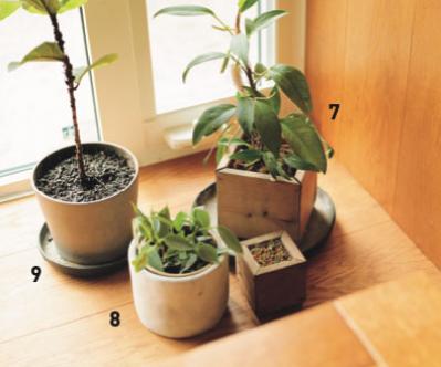 植物と暮らす幸福感ってこんな感じ！　人気インスタグラマーの「光と土を大切にした」インテリア（サムネイル画像5）