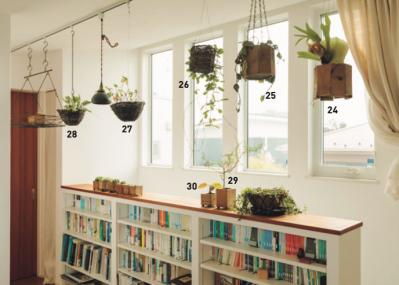 植物と暮らす幸福感ってこんな感じ！　人気インスタグラマーの「光と土を大切にした」インテリア（サムネイル画像16）