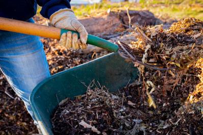 【ガーデニング】冬の土づくりで、きれいな花を咲かせよう！カチカチの土をふかふかに（サムネイル画像2）