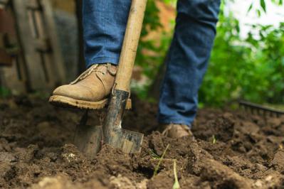 【ガーデニング】冬の土づくりで、きれいな花を咲かせよう！カチカチの土をふかふかに（サムネイル画像3）