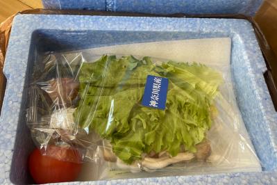 【ヨシケイのミールキット、食べてみた】献立を考えなくていいのと買い物がラク。カット野菜と卵がとっても新鮮！