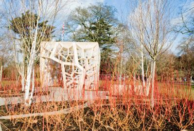 【イギリス流】ガーデナーの冬の楽しみ方。ウィンターガーデンとアフタヌーンティーの魅力（サムネイル画像4）