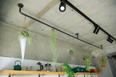 中古マンションをグリーンファーストでフルリノベ。「植物は一代で終わらせない」室内インテリア【mi*さん】（サムネイル画像4）