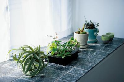 中古マンションをグリーンファーストでフルリノベ。「植物は一代で終わらせない」室内インテリア【mi*さん】（サムネイル画像9）