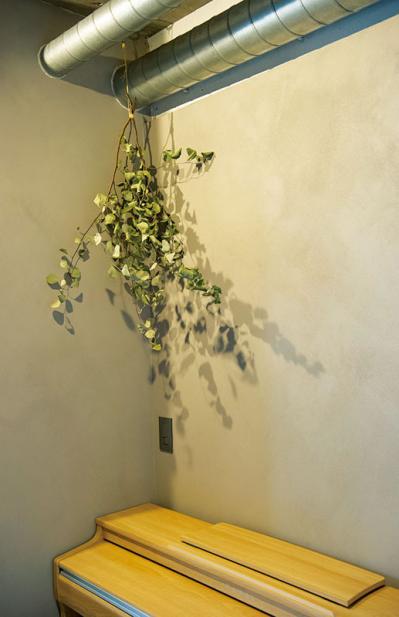 中古マンションをグリーンファーストでフルリノベ。「植物は一代で終わらせない」室内インテリア【mi*さん】（サムネイル画像15）