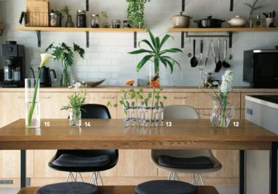 中古マンションをグリーンファーストでフルリノベ。「植物は一代で終わらせない」室内インテリア【mi*さん】（サムネイル画像6）