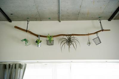 中古マンションをグリーンファーストでフルリノベ。「植物は一代で終わらせない」室内インテリア【mi*さん】（サムネイル画像8）