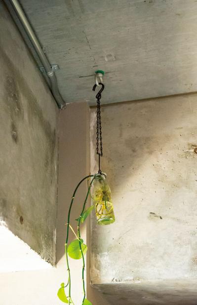 中古マンションをグリーンファーストでフルリノベ。「植物は一代で終わらせない」室内インテリア【mi*さん】（サムネイル画像11）