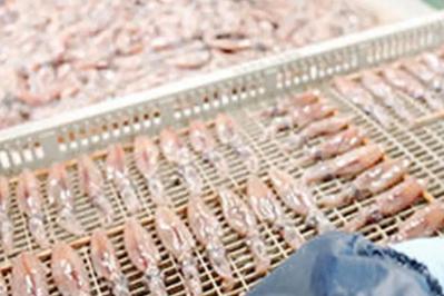 フードスタイリストしのざきたかこさん絶賛のお取り寄せ【日本酒とアテ】やさしい味の日本酒と素干しほたるいか