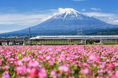 「トイレのせいで旅行を我慢したくない」長時間外出を乗り切る、マチュア世代の【頻尿・尿漏れ対策】（サムネイル画像）