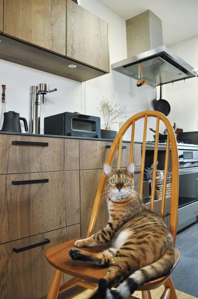 インスタグラマー【yuri___1115さん】のお宅を拝見！ ヴィンテージのインテリア、作家の器、猫たち｜素敵な人の家時間（サムネイル画像6）