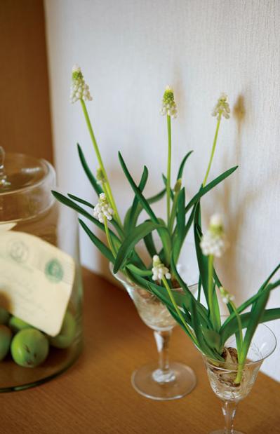 グリーンを家じゅうにバランスよく置く【実例】切り花を枯れる間際まで楽しむコツは？人気インスタグラマーの自宅拝見（サムネイル画像15）