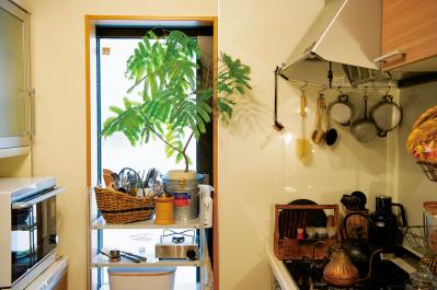 グリーンを家じゅうにバランスよく置く【実例】切り花を枯れる間際まで楽しむコツは？人気インスタグラマーの自宅拝見（サムネイル画像8）