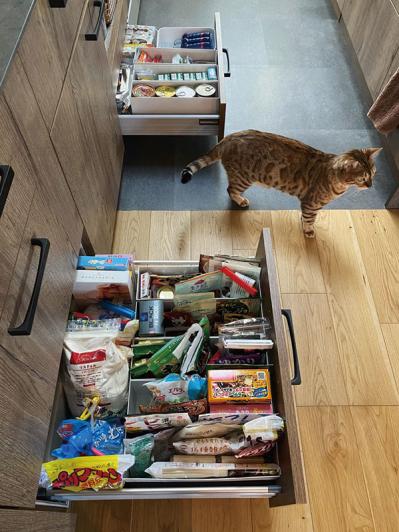 インスタグラマー【yuri___1115さん】のお宅を拝見！ ヴィンテージのインテリア、作家の器、猫たち｜素敵な人の家時間（サムネイル画像16）