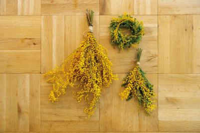 グリーンを家じゅうにバランスよく置く【実例】切り花を枯れる間際まで楽しむコツは？人気インスタグラマーの自宅拝見（サムネイル画像17）