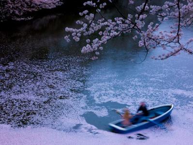 失敗しない桜撮影！スマホで映える9つのテクニックをプロが伝授（サムネイル画像18）