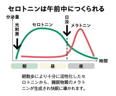樺沢紫苑さんに聞く、ひとりでも機嫌よく暮らすための朝ルーティンとは？（サムネイル画像5）