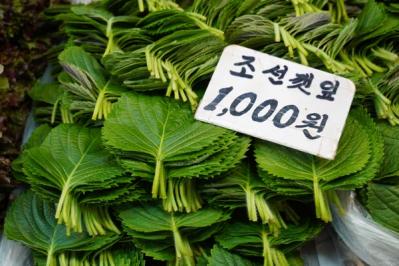 ソウルで最大の市場・京東市場内にできたスターバックスは、古い映画館を改装した新名所！【2023年連載1位記事】（サムネイル画像11）