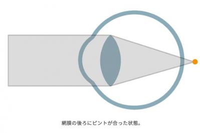 【老眼鏡】を使う人は知っておきたい！既製品よりも眼鏡店で購入すべき理由とは？（サムネイル画像4）