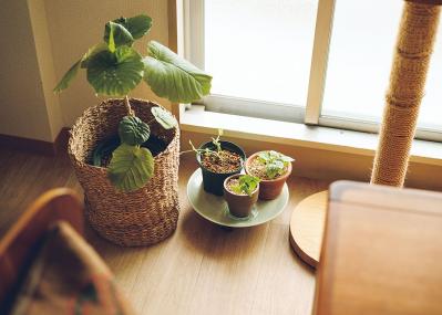 「私らしく働く」とは？　イラストレーター柿崎こうこさんが心がけているスキルアップと自己投資（サムネイル画像12）