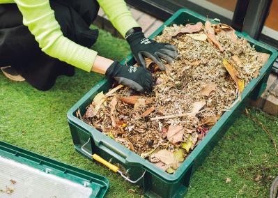 森の中にいるような、賃貸マンションのバルコニー【実例】「植物おしゃれに飾るのではなく、共生しています」（サムネイル画像16）