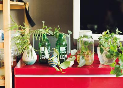 森の中にいるような、賃貸マンションのバルコニー【実例】「植物おしゃれに飾るのではなく、共生しています」（サムネイル画像10）