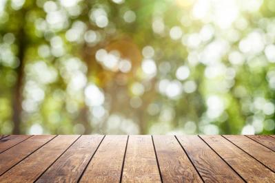 「自分に自信がもてない、人生の成功者になりたい」という人が、満足感をもつには？【坂東眞理子さん】の人生相談