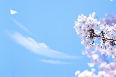 【舞いあがれ！】繊細な貴司が、日常生活の中から発見した温かい短歌をできれば見てみたかった