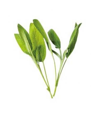 【炊飯器】でジューシーなスペアリブがほったらかしで完成！　骨つき肉がこんなにやわらかい（サムネイル画像6）