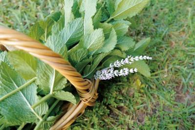 小さな幸せがちりばめられた「家時間」にうっとり。自然やヴィンテージに囲まれた、アメリカの田舎暮らし（サムネイル画像5）