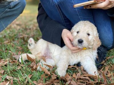小さな幸せがちりばめられた「家時間」にうっとり。自然やヴィンテージに囲まれた、アメリカの田舎暮らし（サムネイル画像9）