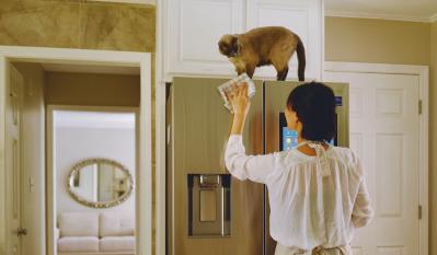 小さな幸せがちりばめられた「家時間」にうっとり。自然やヴィンテージに囲まれた、アメリカの田舎暮らし（サムネイル画像19）