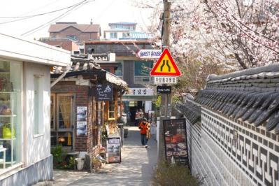 ソウルも桜が満開！ 昔ながらの街並みが残る北村～三清洞は散歩が楽しいコース（サムネイル画像12）
