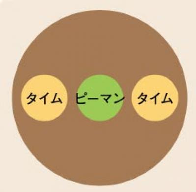初心者でも失敗しない【ベランダ菜園】ミニトマト＋バジル＋シソで寄せ植えレッスン（サムネイル画像19）