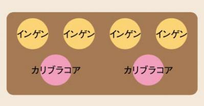 初心者でも失敗しない【ベランダ菜園】ミニトマト＋バジル＋シソで寄せ植えレッスン（サムネイル画像26）