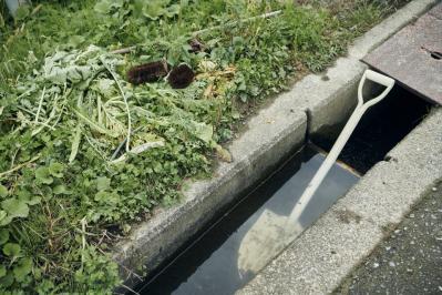 都会から地方へ。畑仕事をはじめたデザイナーAsakoさんの「農」のある暮らし（サムネイル画像4）