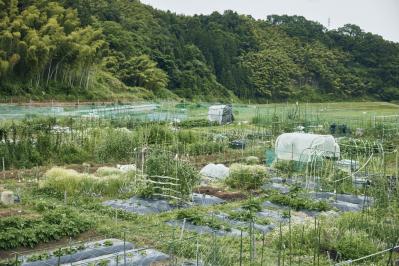 都会から地方へ。畑仕事をはじめたデザイナーAsakoさんの「農」のある暮らし（サムネイル画像9）