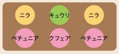初心者でも失敗しない【ベランダ菜園】ミニトマト＋バジル＋シソで寄せ植えレッスン（サムネイル画像16）
