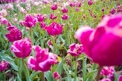 【プロ直伝】スマホで撮れる風景写真「7つの構図レッスン」（サムネイル画像13）