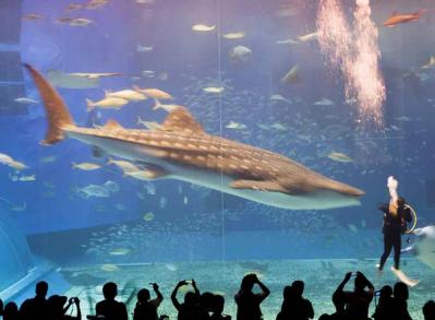 【プロ直伝】スマホで撮れる風景写真「7つの構図レッスン」（サムネイル画像17）