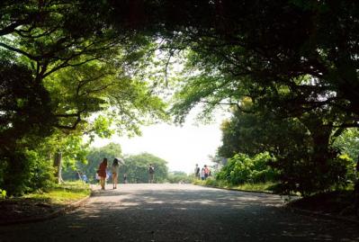 【プロ直伝】スマホで撮れる風景写真「7つの構図レッスン」（サムネイル画像14）