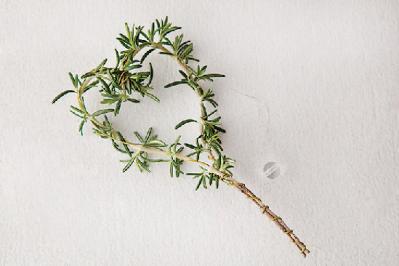 【ガーデニング】ラヴェンダー、ローズマリーで簡単！ 香りで癒やされるハーブクラフト（サムネイル画像10）