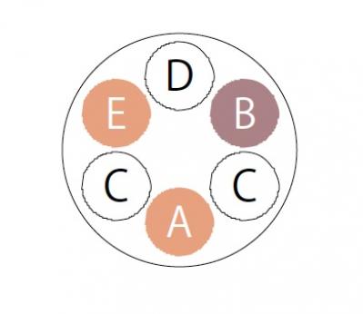 【ガーデニング】初夏から秋まで咲く！ キュートな【ペンタス】の寄せ植え（サムネイル画像6）