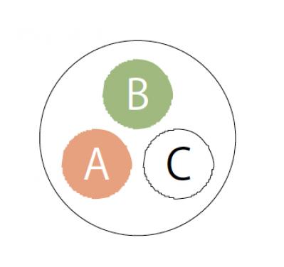 【ガーデニング】手入れがラクで、秋まで長く咲くのが魅力！【ベゴニアの寄せ植え】（サムネイル画像4）