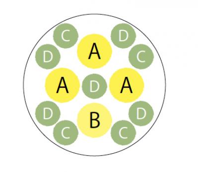 【ガーデニング】手入れがラクで、秋まで長く咲くのが魅力！【ベゴニアの寄せ植え】（サムネイル画像6）