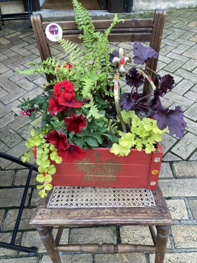 【英国流ガーデニング】イギリスの街中が花であふれたチャールズ国王の戴冠式（サムネイル画像4）