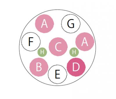 【ガーデニング】秋まで繰り返し咲くのが魅力！ 初心者でも育てやすい【ジニアの寄せ植え】（サムネイル画像4）